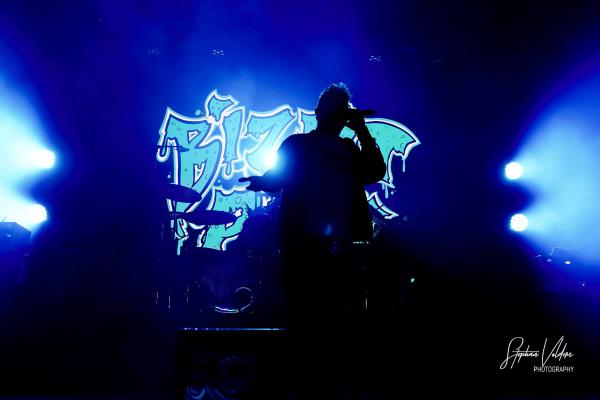 Bizkit park